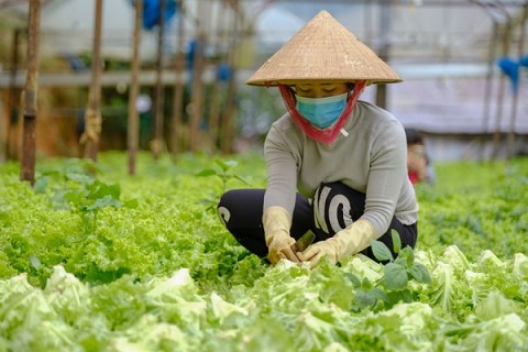 Thị trường nông sản Lâm Đồng